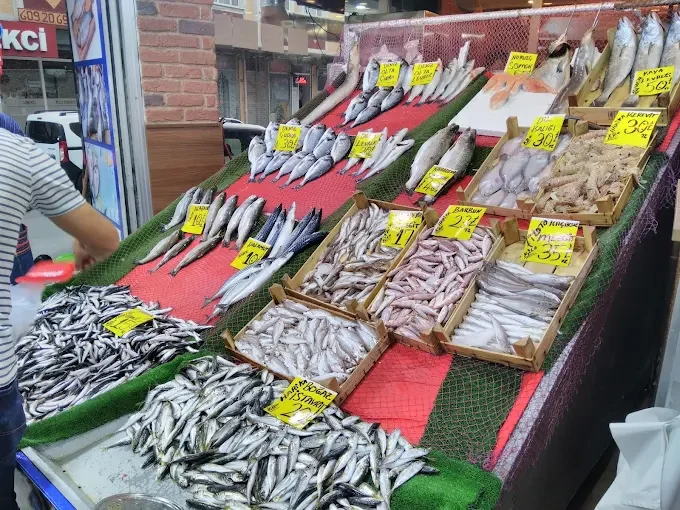 galeri_20260429_174648_4485b96ea34706e400ea