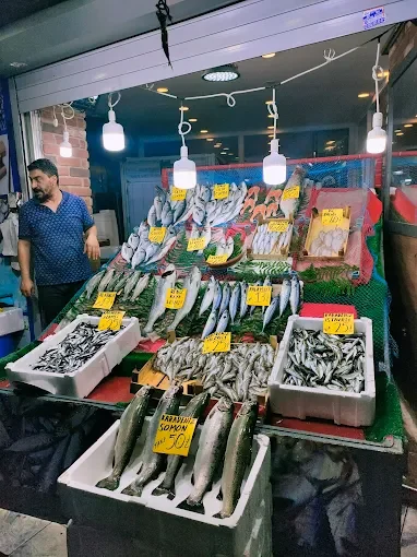 Gaziosmanpaşa Balık Satışı